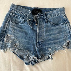 3x1 Shorts